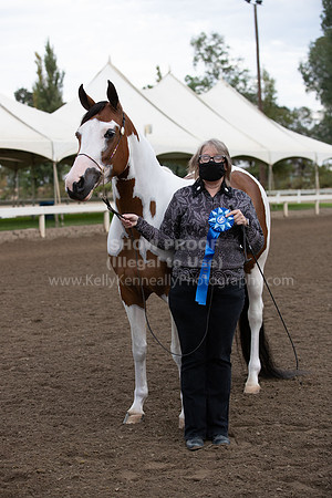 DAHAFall20_Halter-5796