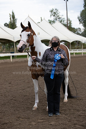DAHAFall20_Halter-5797