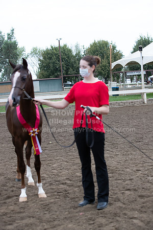 DAHAFall20_Halter-5882