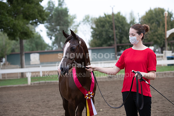 DAHAFall20_Halter-5884