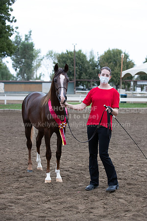 DAHAFall20_Halter-5885