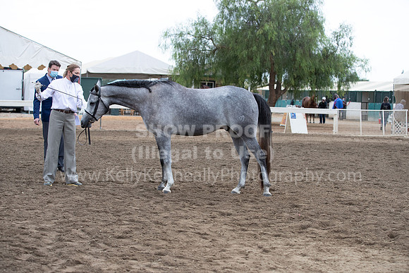 DAHAFall20_Halter-5930