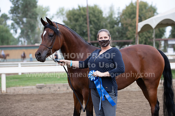 DAHAFall20_Halter-6053