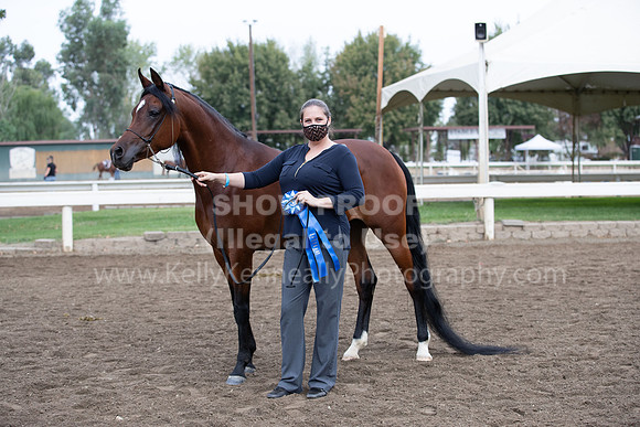 DAHAFall20_Halter-6054