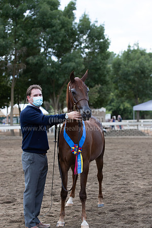 DAHAFall20_Halter-6056