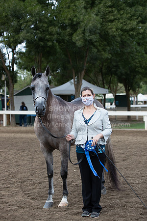 DAHAFall20_Halter-6104