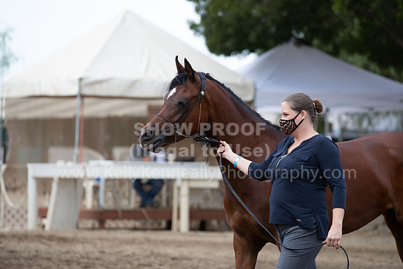 DAHAFall20_Halter-6129