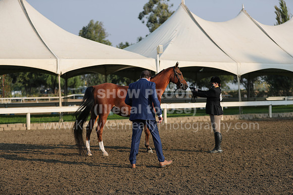 DAHAFall20_SunAM_5468
