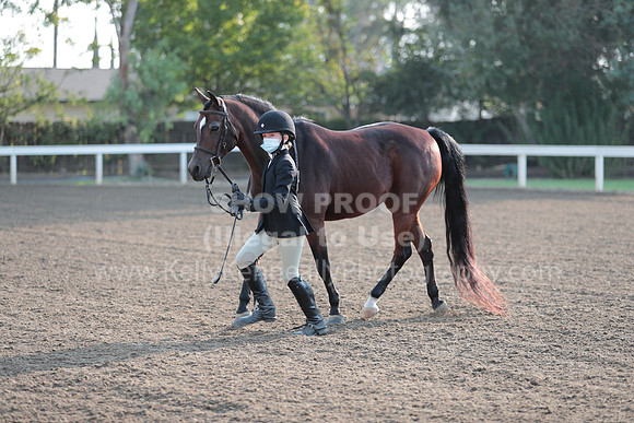 DAHAFall20_SunAM_5544