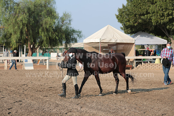 DAHAFall20_SunAM_5554