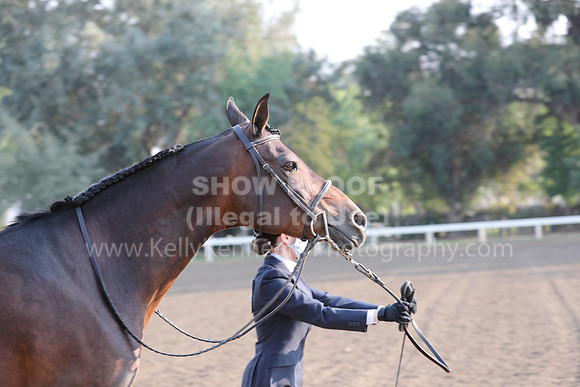 DAHAFall20_SunAM_5508