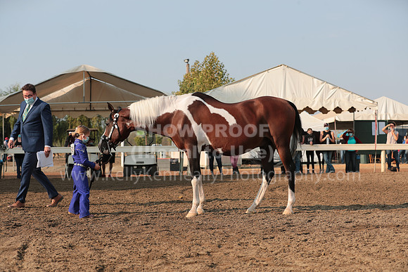 DAHAFall20_SunAM_5572