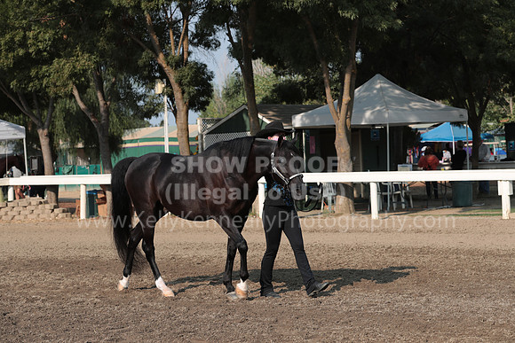 DAHAFall20_SunAM_5638