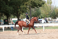 DAHAFall20_SunAM_6101