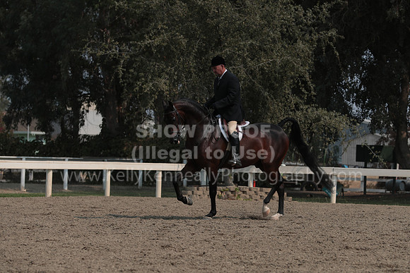 DAHAFall20_SunAM_6153