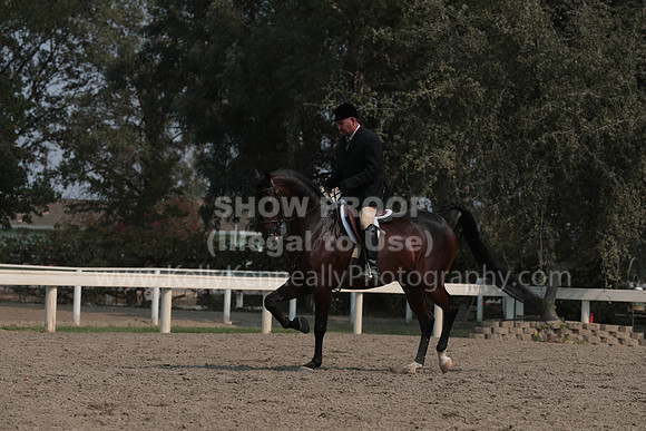 DAHAFall20_SunAM_6154