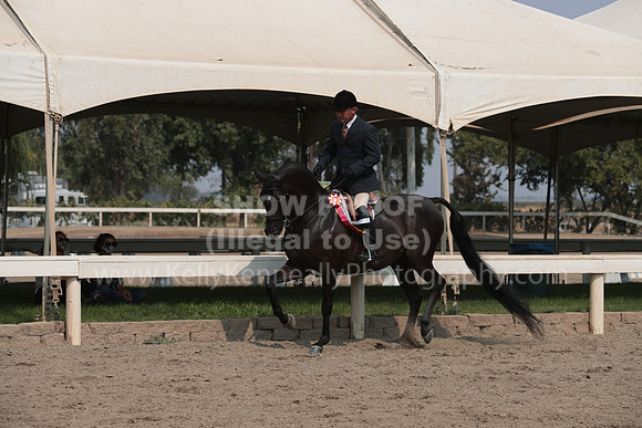 DAHAFall20_SunAM_6167