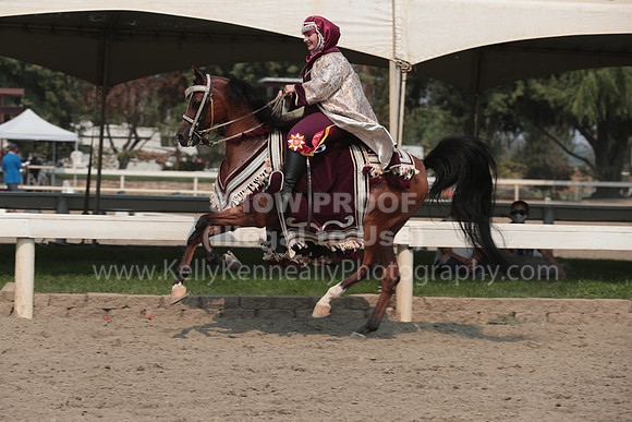 DAHAFall20_SunAM_6279