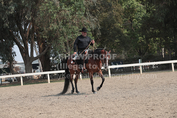 DAHAFall20_SunAM_6325