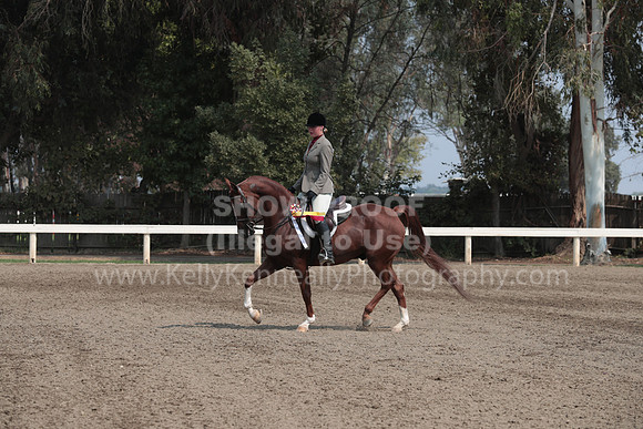 DAHAFall20_SunPM_6520