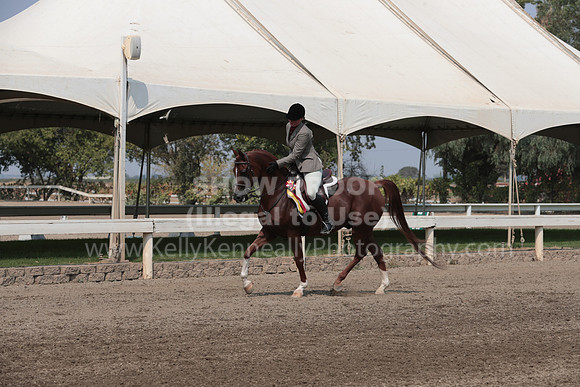 DAHAFall20_SunPM_6535