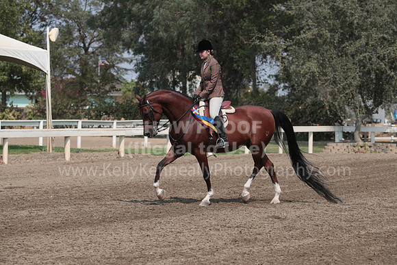 DAHAFall20_SunPM_6536