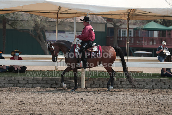 DAHAFall20_SunPM_6765