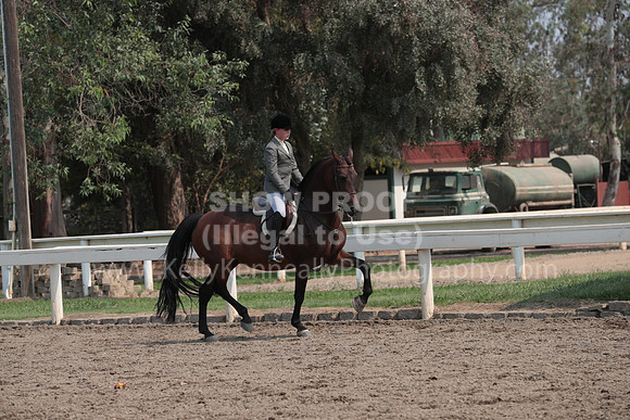 DAHAFall20_SunPM_6891