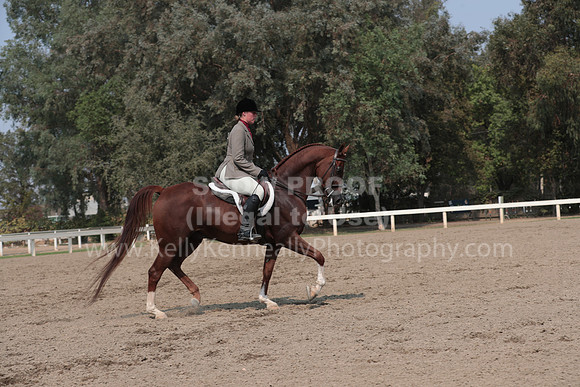 DAHAFall20_SunPM_7040