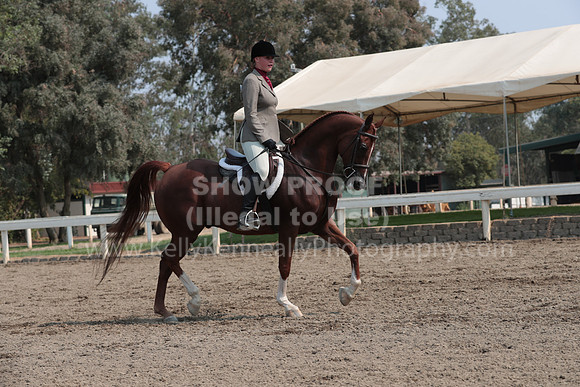 DAHAFall20_SunPM_6977
