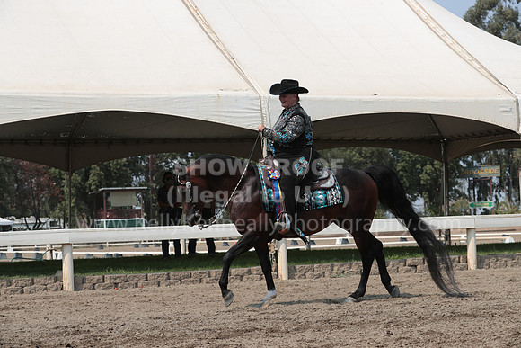 DAHAFall20_SunPM_6738
