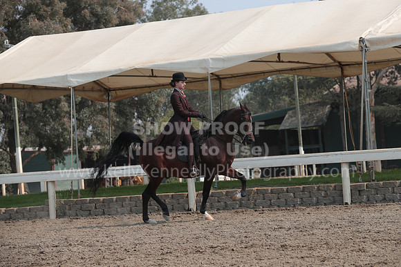 DAHAFall20_SunPM_7106