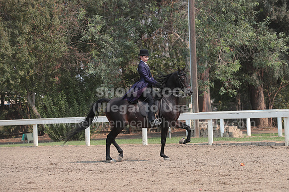 DAHAFall20_SunPM_7108