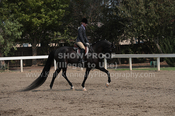 DAHAFall20_SunPM_6997