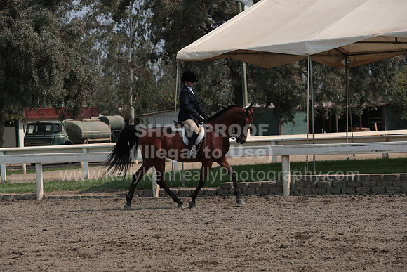 DAHAFall20_SunPM_6998