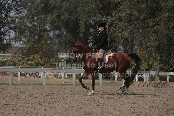 DAHAFall20_SunPM_7397