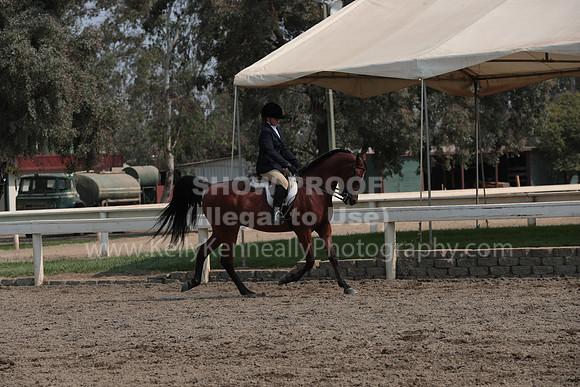 DAHAFall20_SunPM_6999