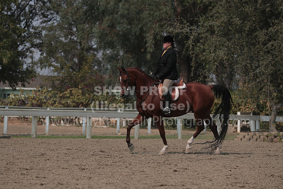 DAHAFall20_SunPM_7398