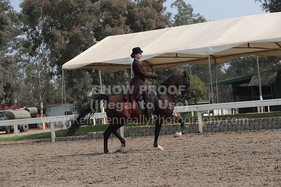 DAHAFall20_SunPM_7128
