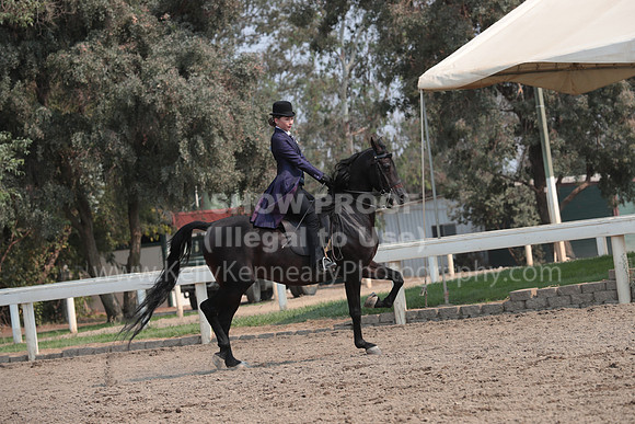 DAHAFall20_SunPM_7130