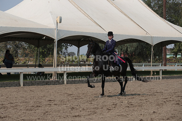 DAHAFall20_SunPM_7152