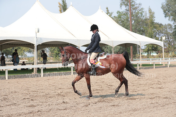 DAHAFall20_SunPM_7013