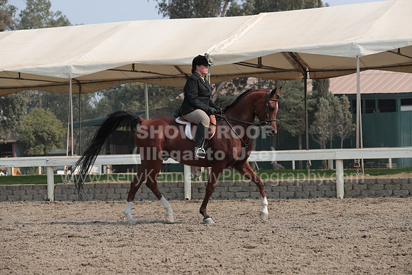 DAHAFall20_SunPM_7439