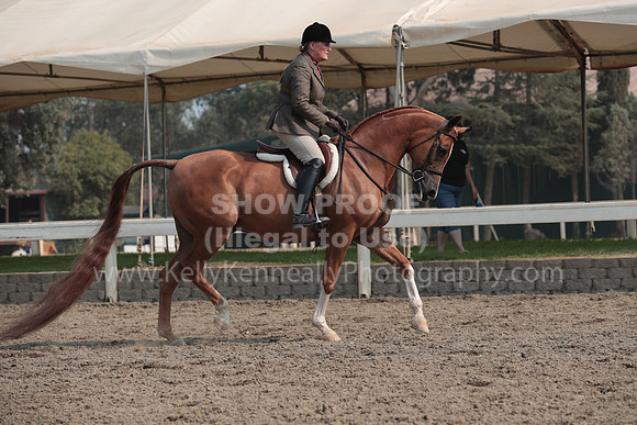 DAHAFall20_SunPM_7442