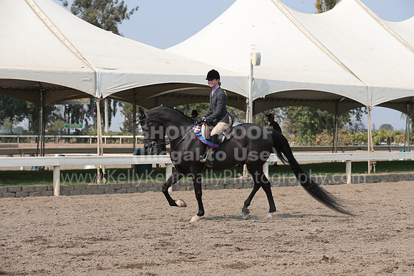 DAHAFall20_SunPM_7026