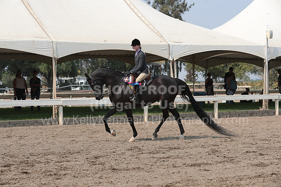 DAHAFall20_SunPM_7030