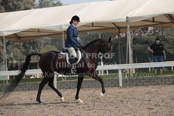 DAHAFall20_SunPM_7450