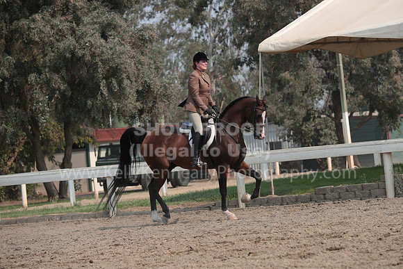 DAHAFall20_SunPM_7454
