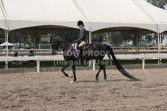 DAHAFall20_SunPM_7032