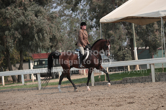 DAHAFall20_SunPM_7455
